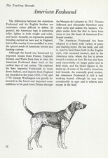 The American Foxhound - CUSTOM MATTED - Vintage Dog Art Print - 