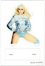 Acrylic stand/acrylic panel [single item] Madonna acrylic stand 