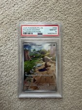 Paldean Wooper 102/094 Me02: Phantasmal Flames Holo Illustration Rare PSA 10 picture