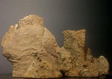 8.75