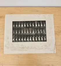 Eadweard Muybridge, Locomotion Series. Woman With Basket. C.1887. Cut-Down Size picture