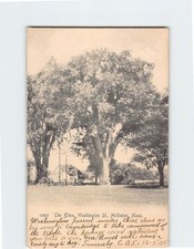 Postcard The Elms Holliston Massachusetts USA picture