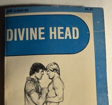 DIVINE HEAD - 1977 BUTCH TEMPLE -SURREY HIS69 VTG PULP NOVEL GAY INTEREST picture