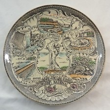Vintage Yellowstone National Park Brown Transferware Souvenir Plate picture