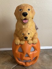 2026 Home Depot 2.5 Ft Golden Retriever w Puppy Pumpkin Halloween Blow Mold LED picture