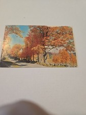 Postcard - Brilliant Autumn picture