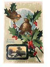 Vintage A Merry Christmas Embossed Birds in Snow Holly Postcard Colorful Germany picture