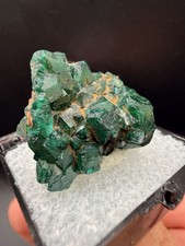 Large Blocky Dioptase Crystals on Matrix (Thumbnail) - Kambove Territory, Congo picture