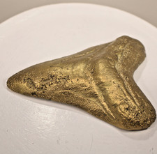 Huge Brass Cast Megalodon Tooth  picture