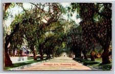 Marengo Ave Pasadena CA Pepper Trees Postcard Cawston Ostrich Farm 1910s picture