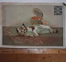 1880s-90s Cat Burdock Blood Bitters VICTORIAN Snake Oil YARN Kitty picture