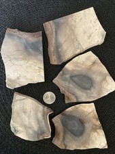 Biggs Picture Jasper- 5 Slabs Weighing 1lb Total-Tan To Dark Brown Contrast #135 picture