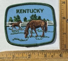 Vintage Kentucky Horse Farm Iron On Patch State Travel Souvenir picture