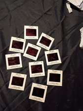 35 mm slides 1979 Starfire Mail Order, Model And Actress Cynthia Irwin picture