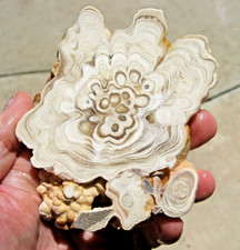 rle CAVE ONYX SLAB, KOKOWEEF, CALIF. 4.5