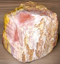 Opalized Rainbow Petrified Wood Rough AZ 2 lbs picture