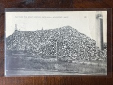 Pulpwood Pile Great Northern Paper Mills Millinocket ME 1953 Postcard Posted picture