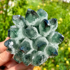 Rare 250g Natural Green Phantom Quartz Crystal Cluster Geode Mineral Specimen picture