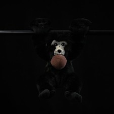 Siamang Monkey 8.2