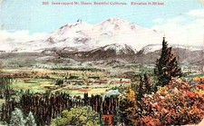 Mt Mount Shasta California Road of a Thousand Wonders Vtg Postcard 14A picture