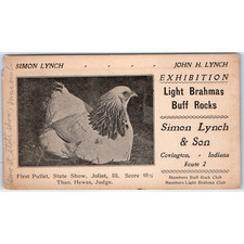 Vtg Simon Lynch Covington IN Poultry Breeder Card Chicken Light Brahma Buff Rock picture