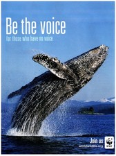 PRINT AD, 2012 WWF World Wildlife Org Be The Voice Humpback Whale Breach Join Us picture
