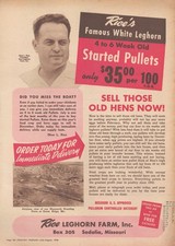 Vintage 1948 Rice Leghorn Farm Print Ad Hatchery Chickens Sedalia Missouri Decor picture