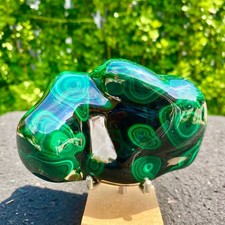 1.65LB Natural glossy Malachite transparent cluster rough mineral sample picture