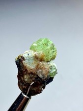 20.90 Carat Beautiful Terminated Peridot Crystal Bunch specimen from Pakistan picture