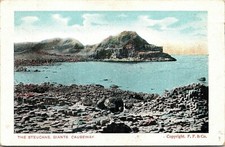Steucans Giants Causeway WB Postcard Germany Antique DB UNP Unused FF & Co. picture