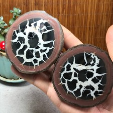 Natural Septarian Dragon Stone Slab Pair Crystal Healing Decor Specimen A7208 picture
