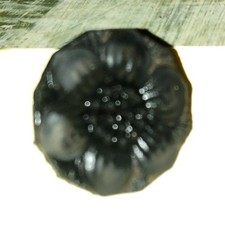 *Genuine * circa( 1895-1908) Black Morning Glory perfume bottle stopper picture