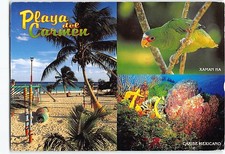 Postcard Playa del Carmen Mexico picture