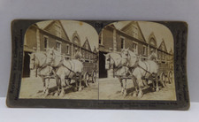 Indiana Stereoview Antique c1930s Percheron Draft Horses Stock Farm Vintage picture