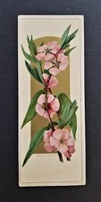 1880s antique GILCHRIST DRY GOODS boston ma store victorian trade card ad picture
