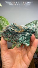 Brochantite- Pima County, Arizona, USA picture