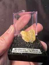 Wulfenite, 79 Mine, Gilo County, Arizona picture