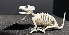 Halloween Baby Opossum Skeleton Red Shed Halloween NWT 4-5