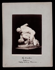 ca. 1850-1890 Antique Albumen Photo The Uffizi Wrestlers Florence Italy picture