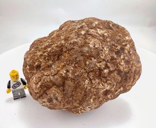 4.75
