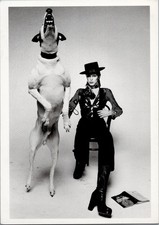 Postcard Fotofolio Rock Postcards David Bowie P254 picture