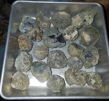 (3 LB LOT) = 17 to 23 Oregon Thunderegg HALVES Rough Lapidary Rocks/Gems/Geode picture