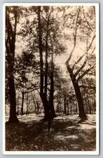 Oxford Ohio Miami University 1941 Photo Postcard Sunrise Lower Campus View picture