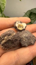 Datolite Nodules- Delaware Mine, Keweenaw County, Michigan picture