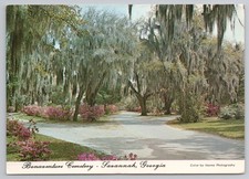 Spanish Moss Path Bonaventure Cemetery in Savannah Georgia c1960s Postcard picture