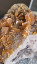 Wulfenite XLS **Los Lamentos, Mexico picture