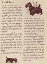Scottish Terrier - CUSTOM MATTED - Vintage Dog Art Print - 1954 M. Dennis picture