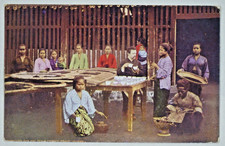 c1909 Postcard Javanese Tea factory Java Indonesia Miss Ida Rubly, Earlville IA picture