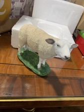Sherratt & Simpson Sheep Texel Ram NIB England Sheep 2005 Factory Mint Beauty picture