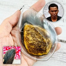 Panneng Skull Tiger Forehead Yantra Protection Commander Tawee Thai Amulet 18095 picture